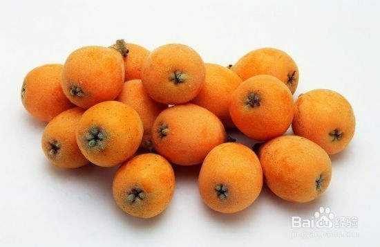 中药减肥：[2]枇杷减肥妙用