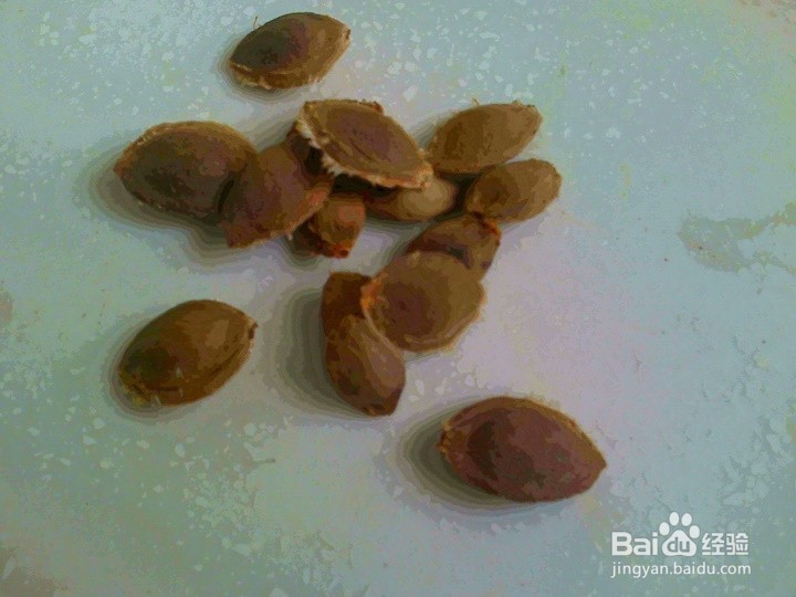 不同的画面怎样拍的更清晰