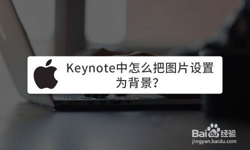 Keynote中怎么把图片设置为背景 百度经验