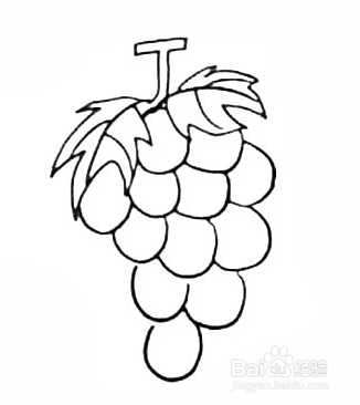 手绘简笔画之葡萄的画法