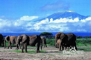 肯尼亚国际机票旅游攻略