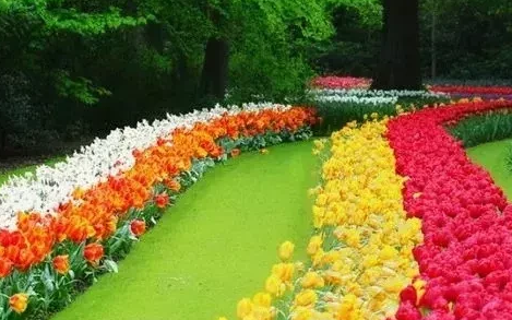 看透不说透下一句是什么