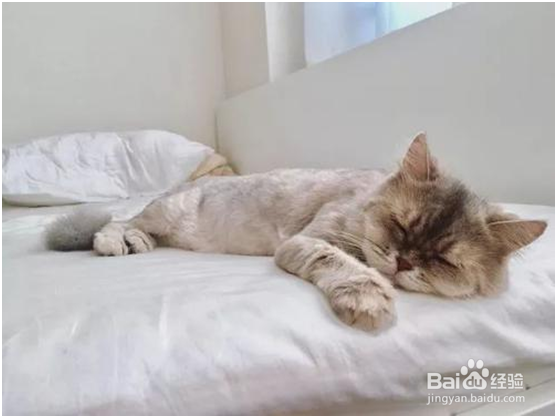 得了风寒感冒吃什么药见效快速简单?