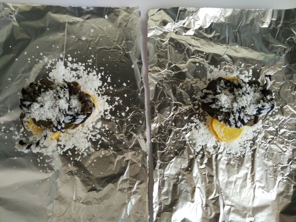 柠檬海盐烤螃蟹