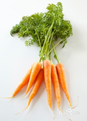 多吃这些食物可以提高免疫力