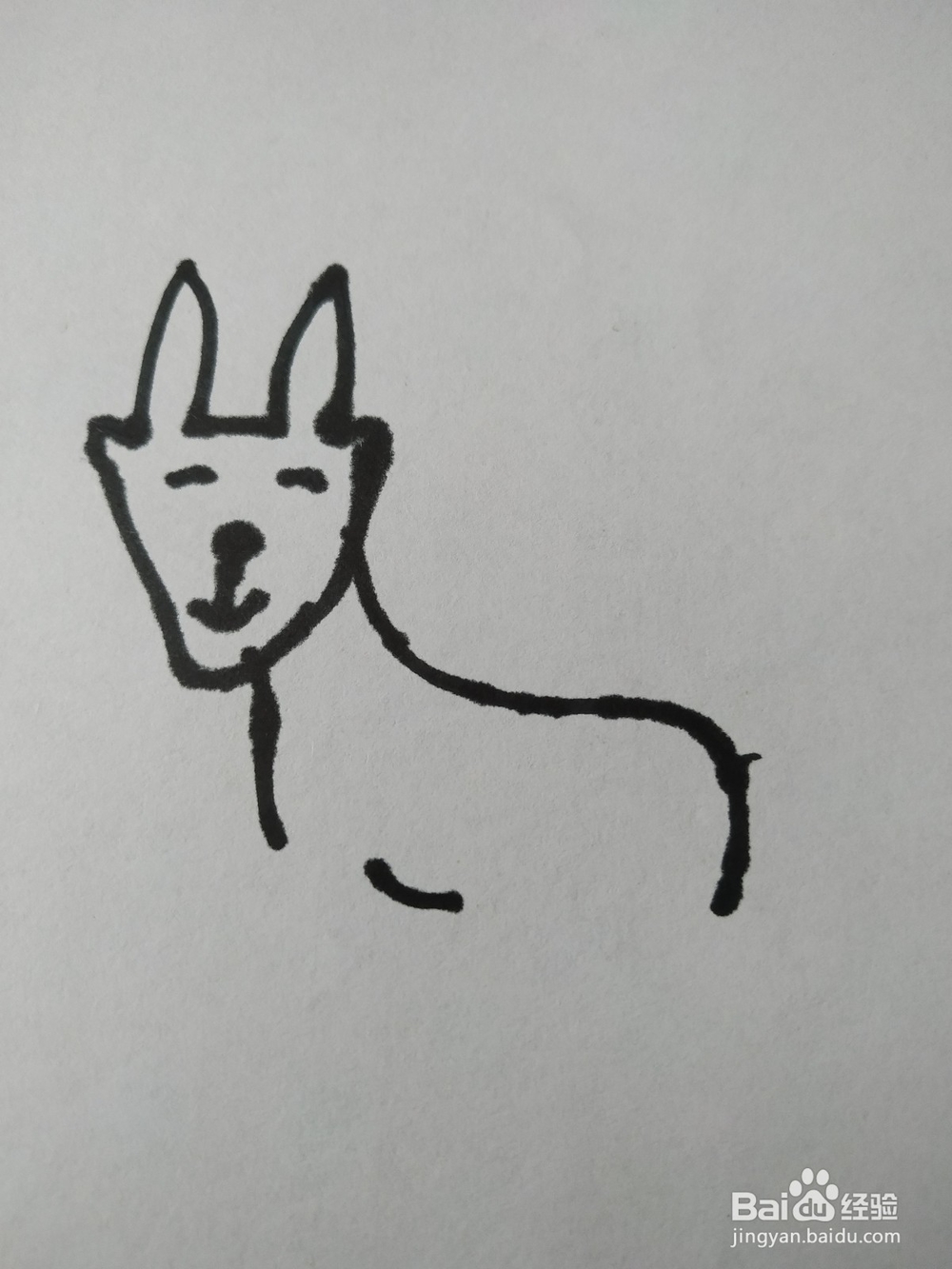 藏羚羊简笔画怎么画？怎么画藏羚羊的呢？