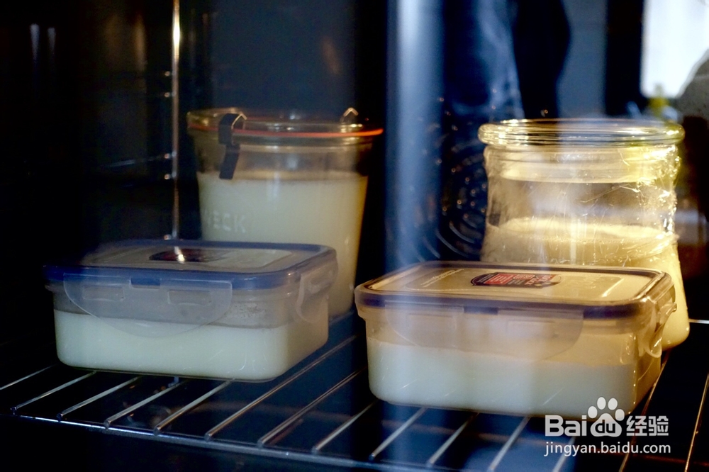 小白也能做脱脂奶粉酸奶