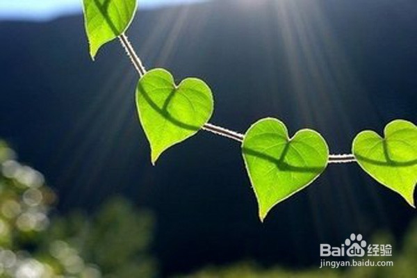 怎么写一手漂亮的字？