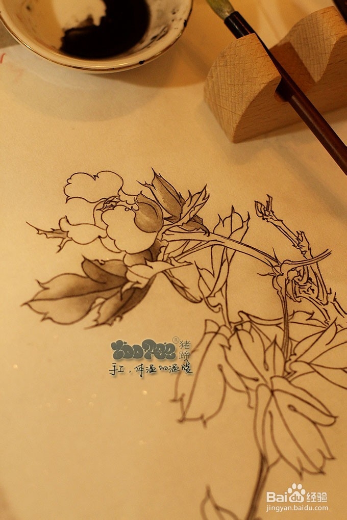 国画工笔花卉技法，起稿上色步骤图以及笔的选择