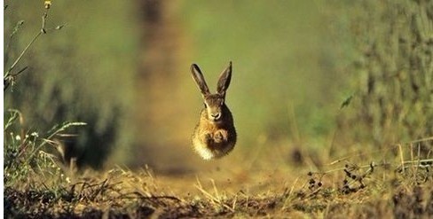 怎样拍出好的摄影作品