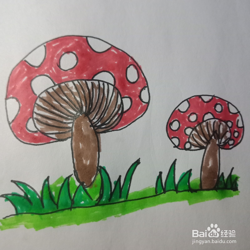 简笔画—简单画蘑菇