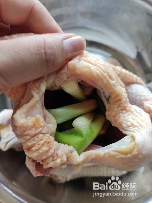 广東高糖白条鸡