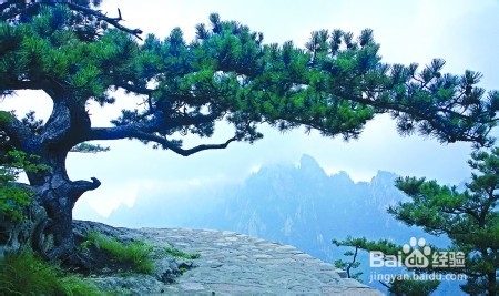 记忆力的训练方法？