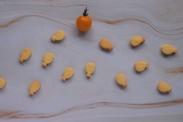 可爱小鱼奶酪饼干