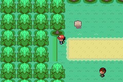 口袋妖怪圣灰攻略图片5