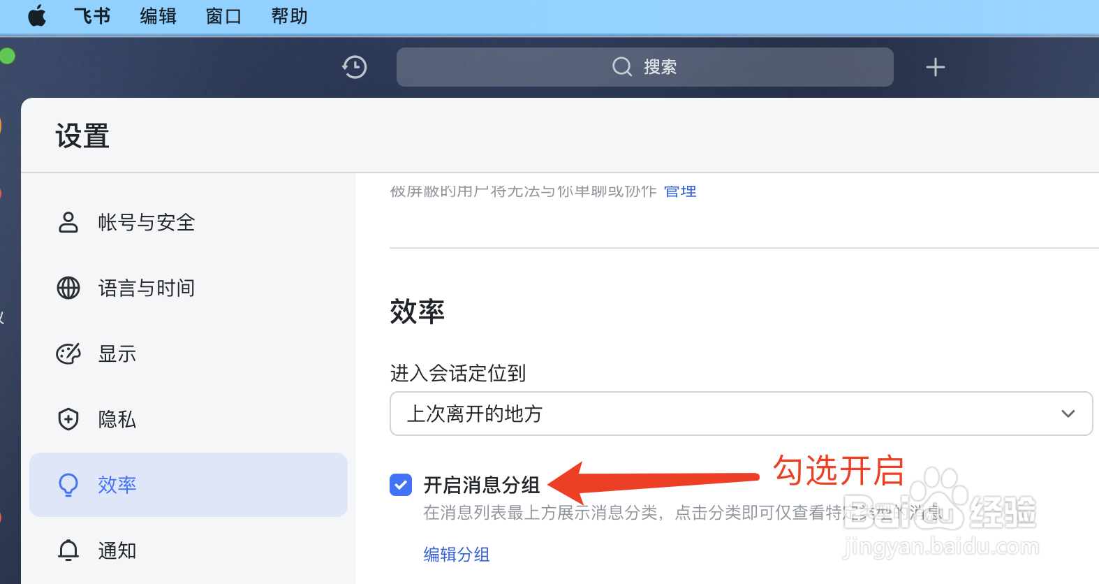 MAC版飞书如何开启消息分组
