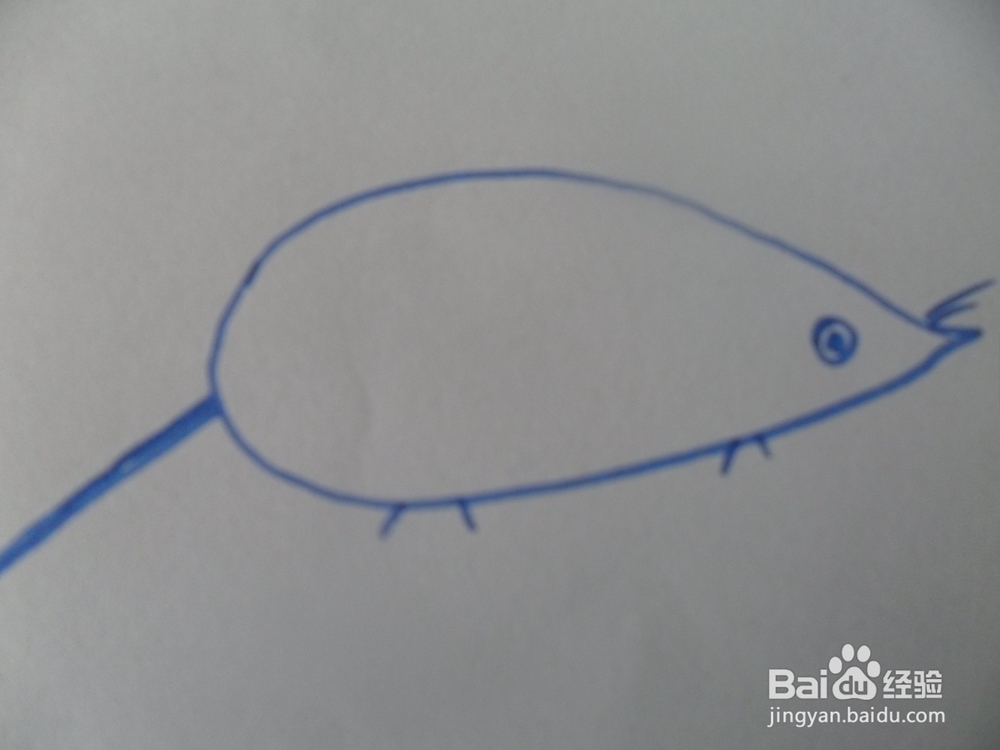 幼儿美工：[6]简笔画---猫和老鼠