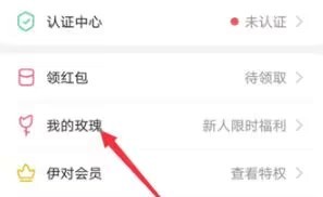 伊对怎么查看消费记录