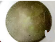 清炖羊肉的做法：