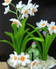 办公室的花草如何养护