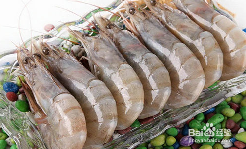 渔公码头海捕野生大虾和其他虾的区别