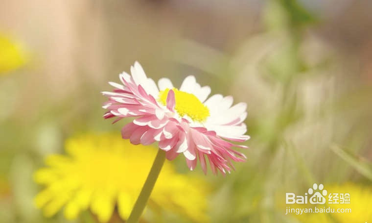 高中阅读理解的技巧方法