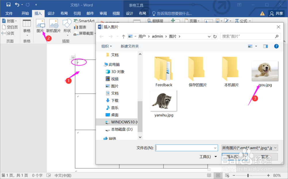 如何在Word文档表格中插入图片不变形