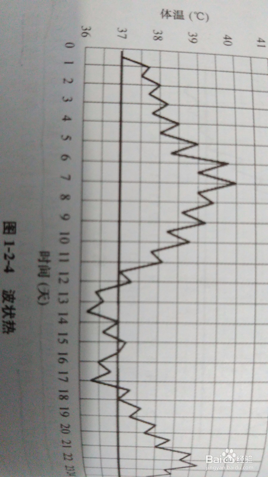 如何分辨发热类型