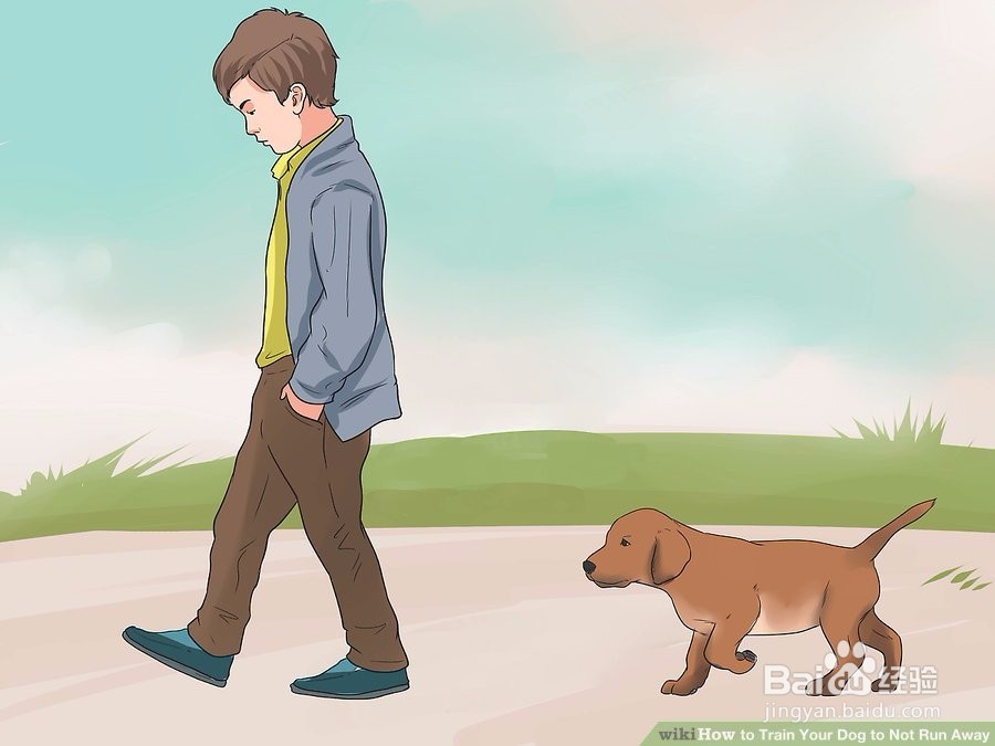 如何训练你的狗跑不掉