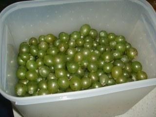 土方法制葡萄酒