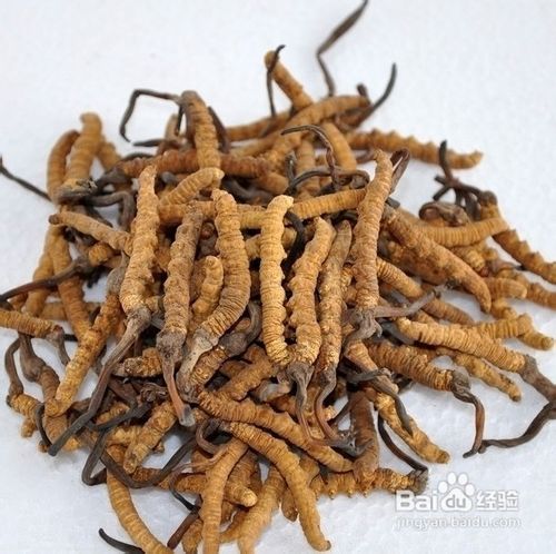 高三学生如何提高记忆力