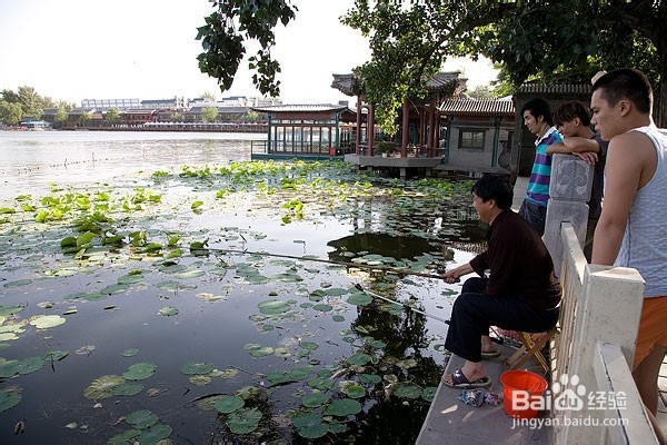 冬季下雨天怎么钓鱼