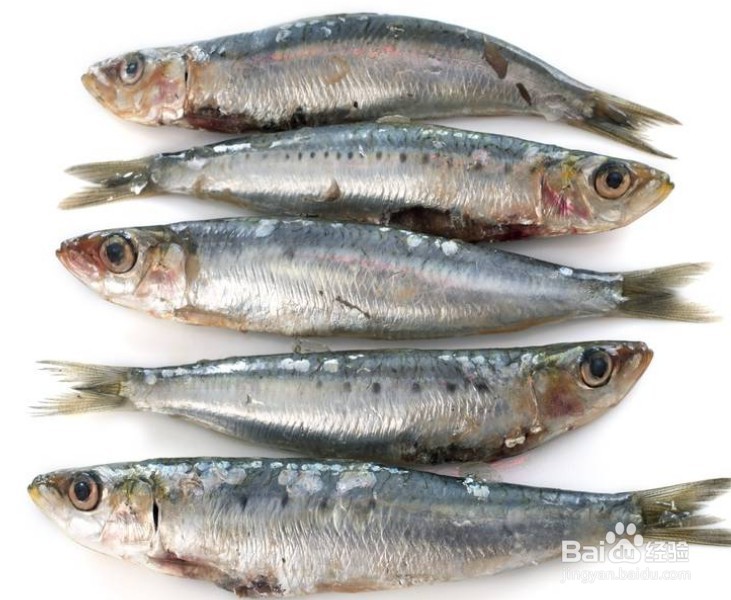 痛风不能吃什么食物