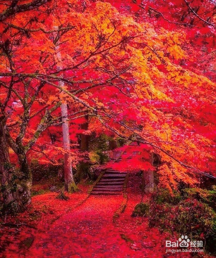 教你调出绝美神仙大片