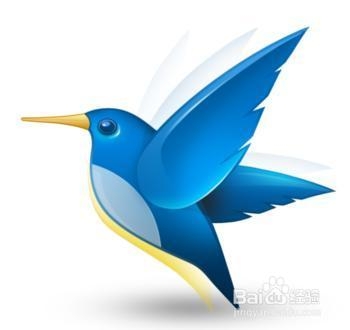 国外怎么看搜狐视频