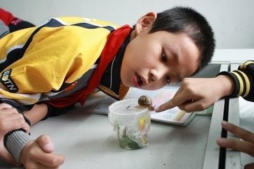 怎样培养孩子求知的勇气？