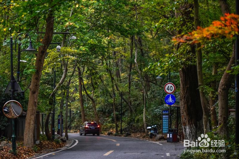 诗画浙江畅游杭州攻略1