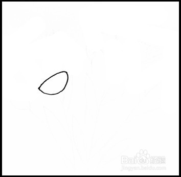 怎样画简笔画（花卉）：[10]康乃馨