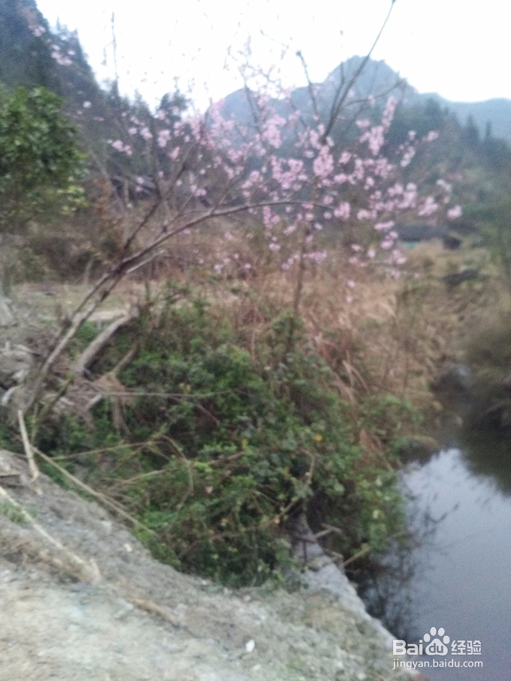 自学能力的培养之路