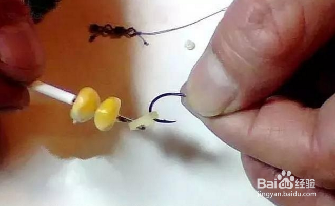 自制水库钓鲤鱼技巧!渔获26斤!