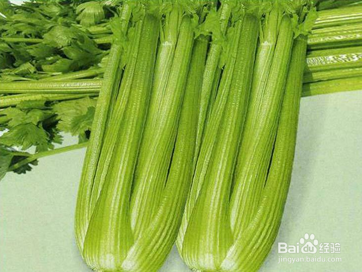 火热夏季吃什么可以减肥