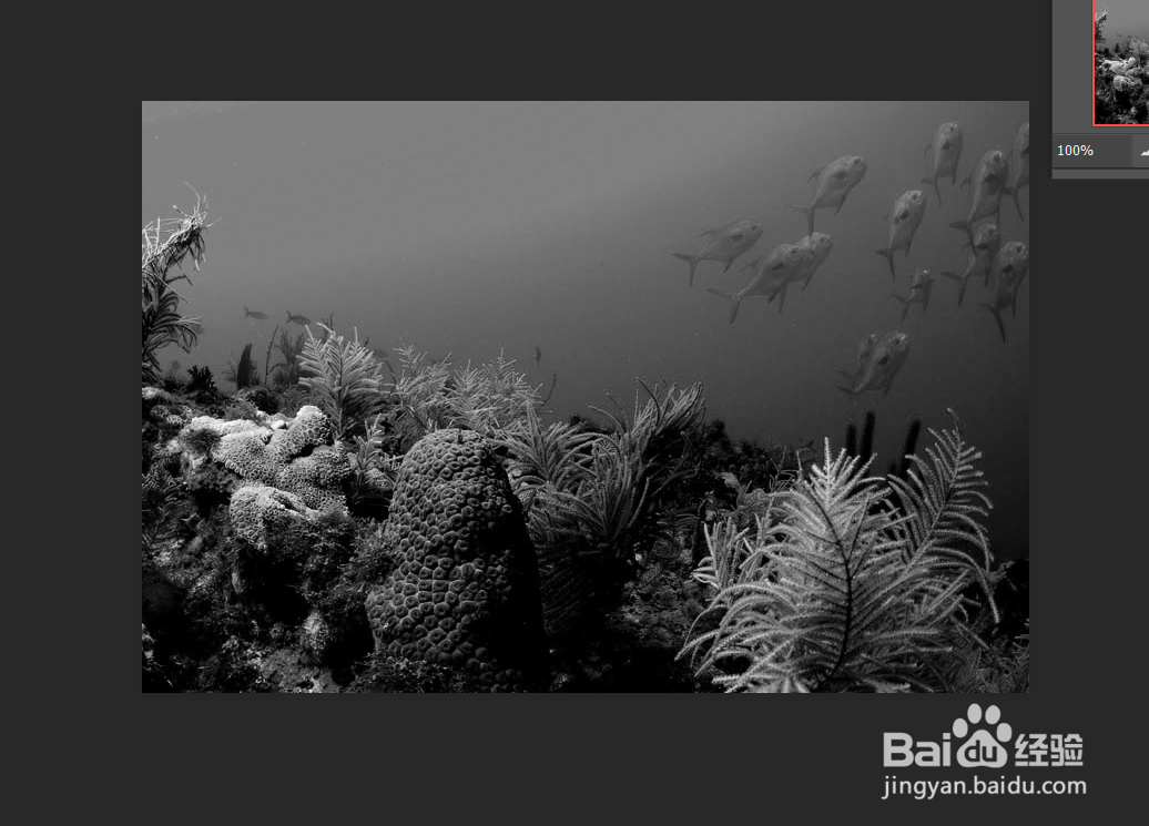 怎么给图片去色