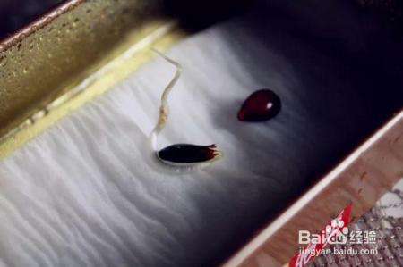 烂苹果、坏土豆别扔，这么做会有奇迹发生！
