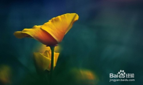 怎样让人生优雅而不傲慢