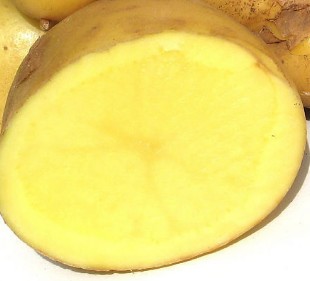 适合孕妇的西红柿猪肝瘦肉汤的做法