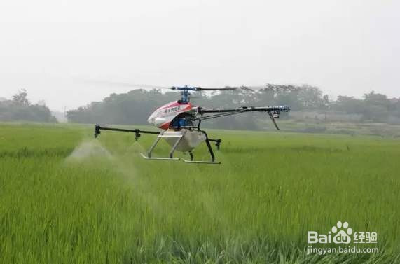 农业植保无人机以及飞防手的市场前景