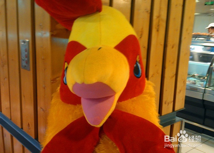 怎样拍摄生活画面