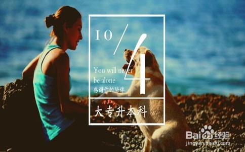 成考和自考的区分