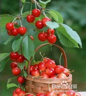 脸部美白 只需7招快速美白