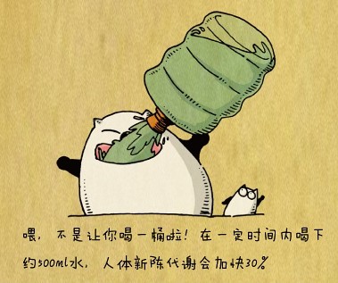 怎样减肥---漫画瘦身秘笈大放送